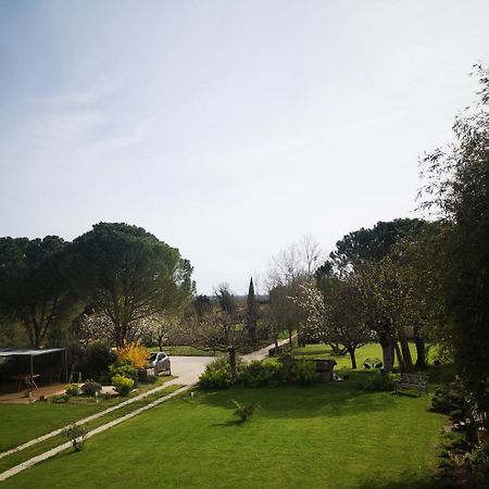 Saint-Savinien La Burie B&B 외부 사진
